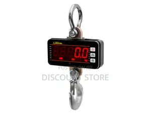 New Model Top Selling Digital 10 Ton Crane Scale
