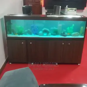 Fairly Priced Aquarium
