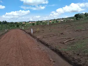 Nsangi Maya Prime Estate With Hot Plots Quicksale With Title
