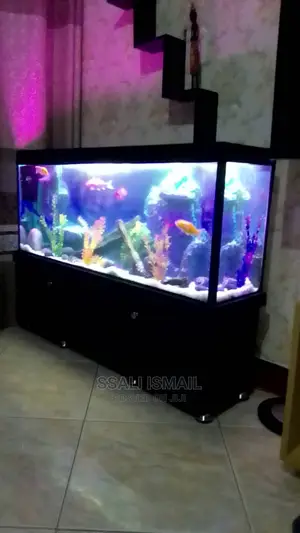 Cheap And Well Decorated Aquarium