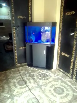 Well Designed Corner Aquarium