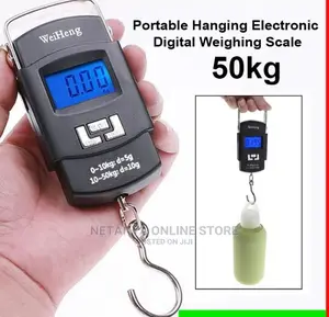 Portable Travel Scale