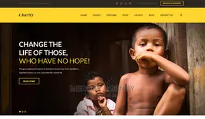 Ngo Website Development