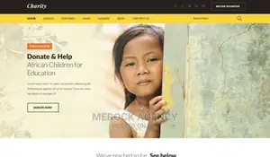Ngo Website Development