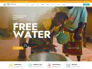 Ngo Website Development
