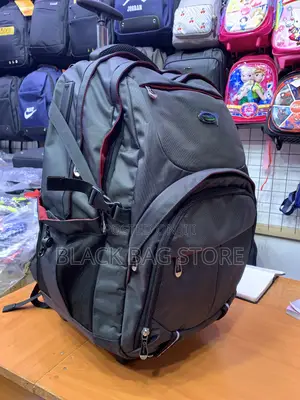 Travel Trolley/ School Bag