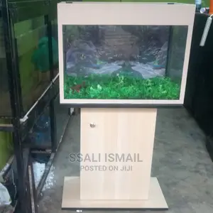 Beautiful Aquarium in Acream Colour