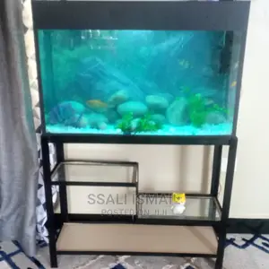 Aquarium