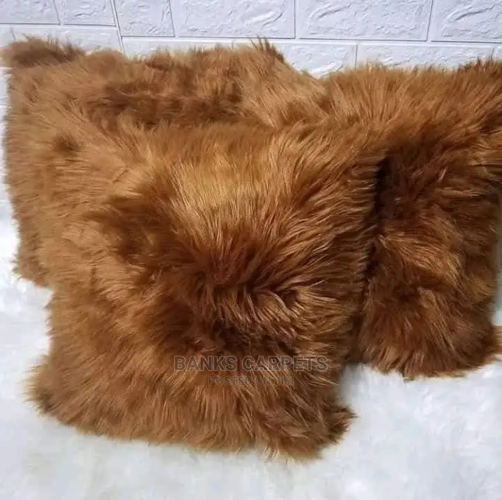 Sofa Cushions
