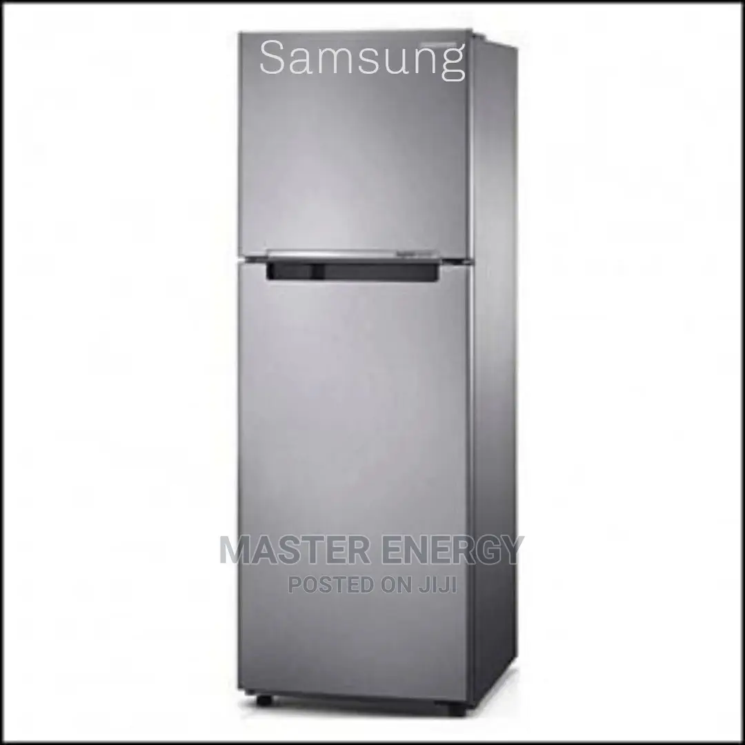 Samsung 310L Double Door Fridge