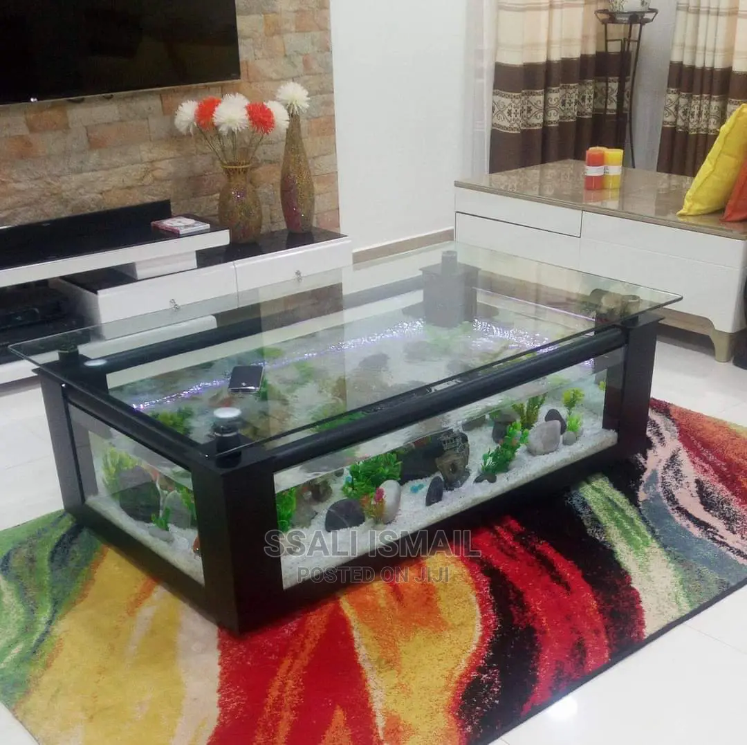The Best Coffee Table Aquarium