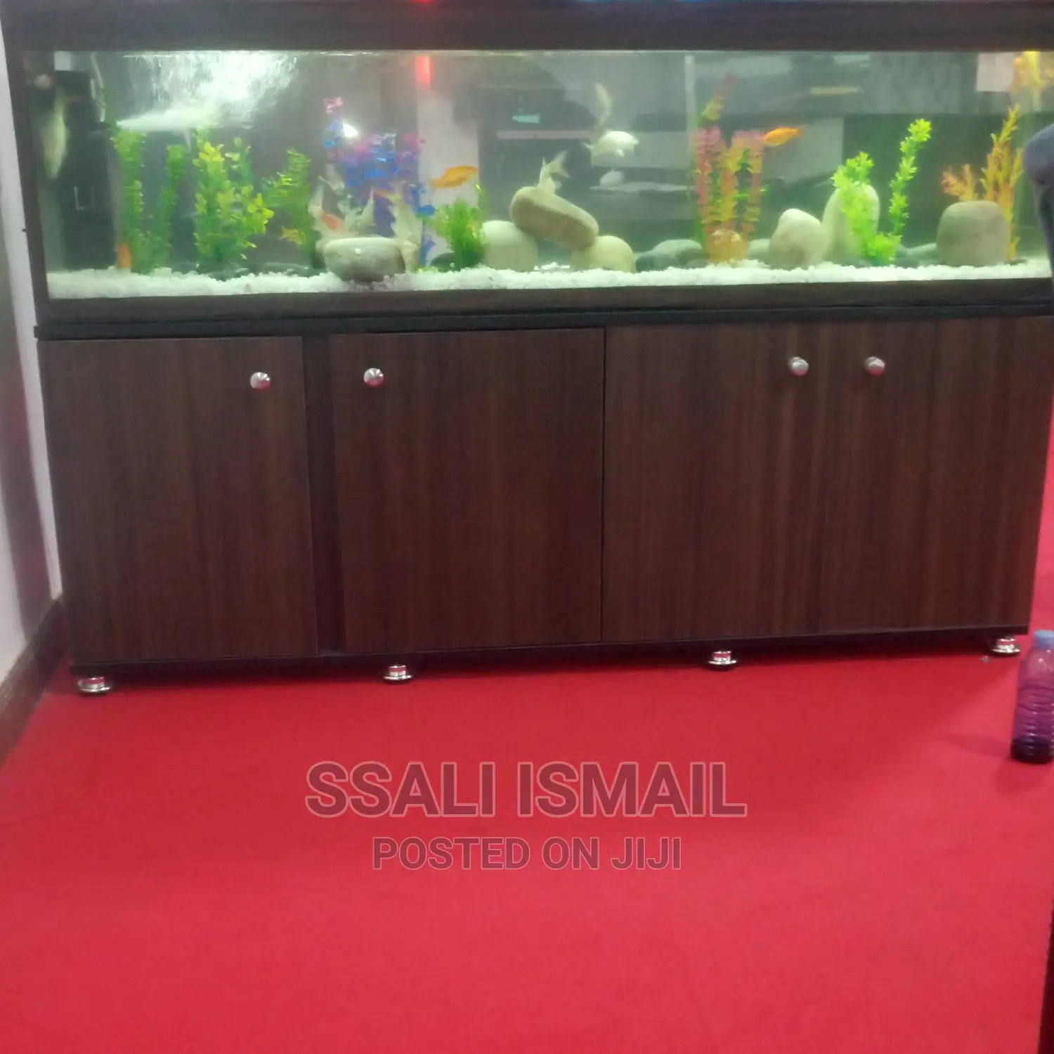 Aquarium
