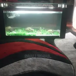 Cheaper and Well Designed Coffee Table Aquarium