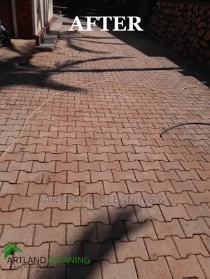 Professional Paver,Tile and Terrazo Cleaning
