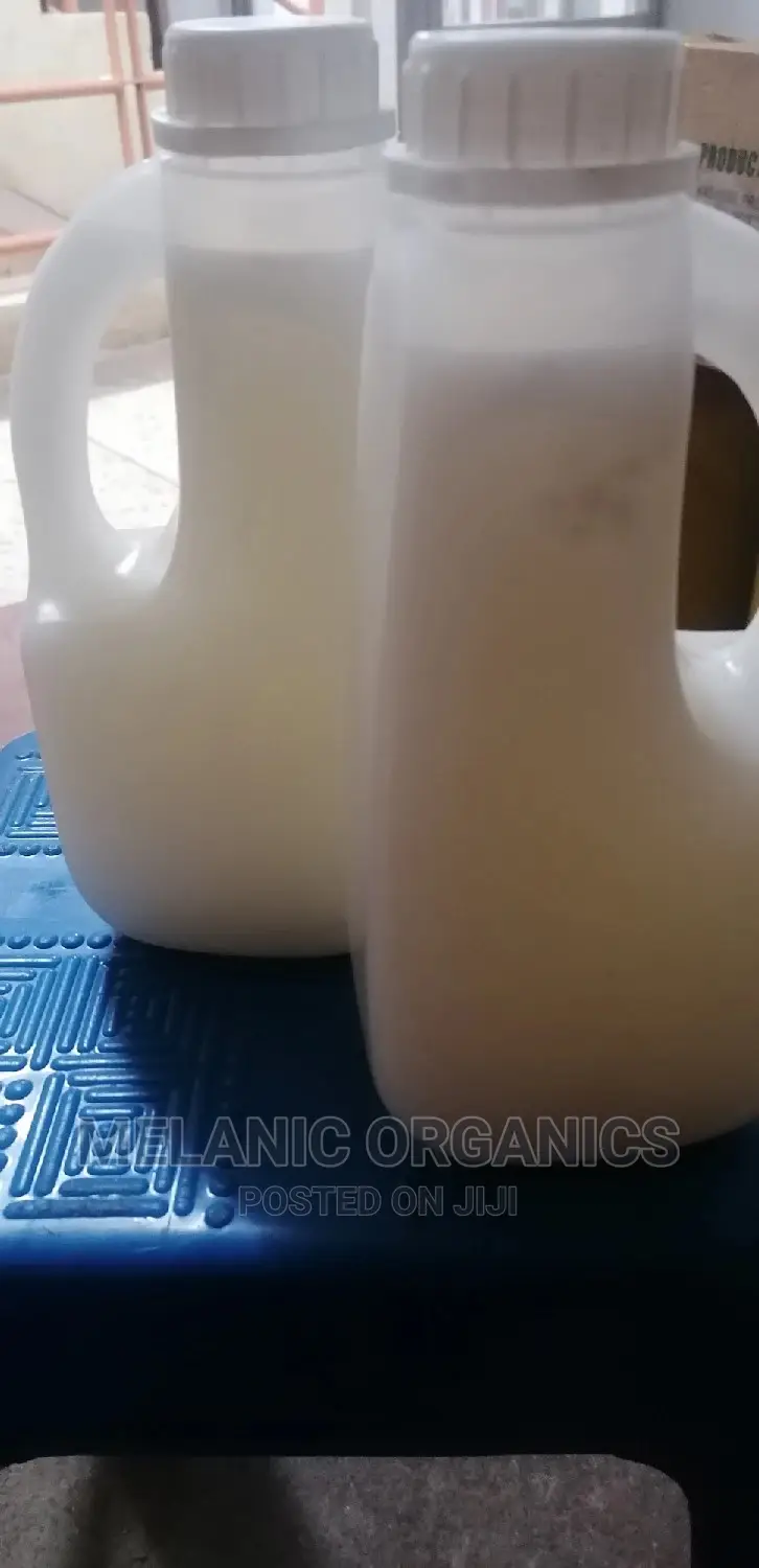 Extra Virgin Cold Pressed Coconut Oil
