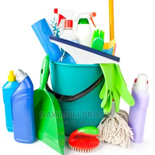 Cleaning Services/ Cleaners