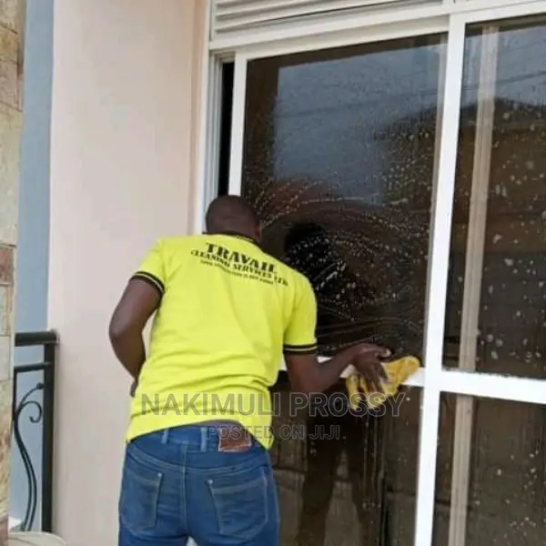 House Cleaning Services/ House Cleaners