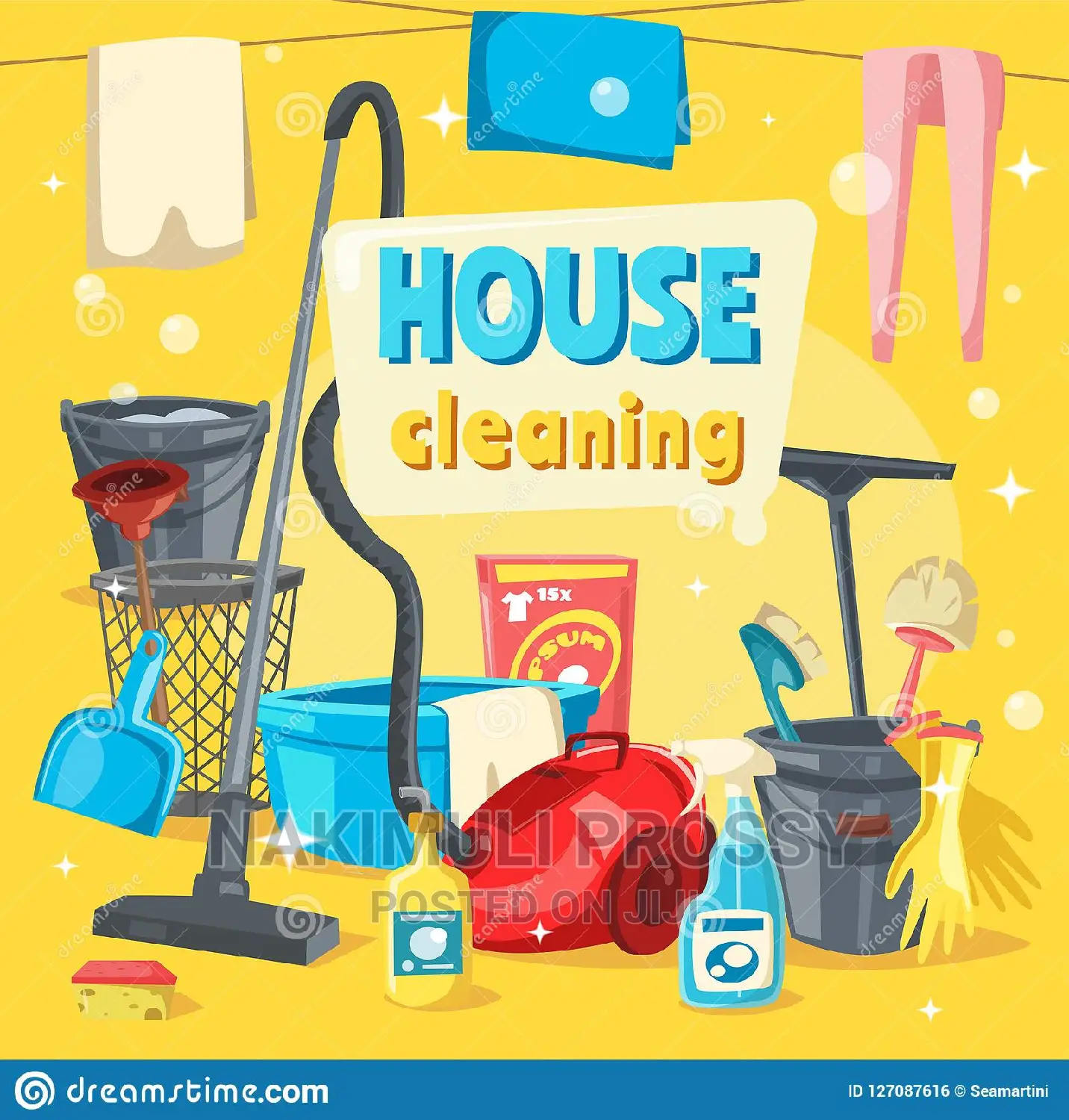 House Cleaning Services/ House Cleaners