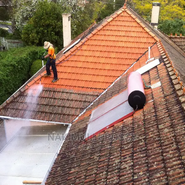 Roof Tile Cleaning Services/ Roof Tile Cleaner