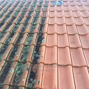 Roof Tile Cleaning Services/ Roof Tile Cleaner