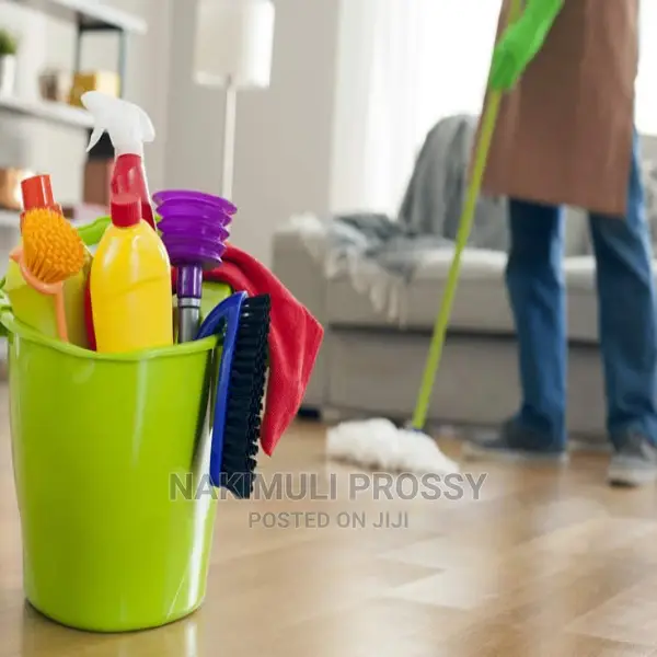 Home Cleaning Services/ Home Cleaners