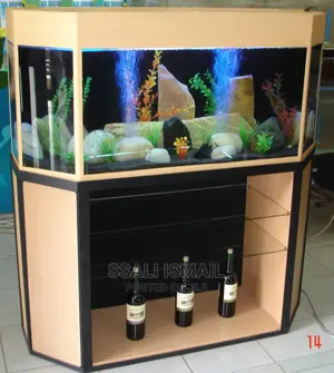 Beautifu Corner Tank Aquarum