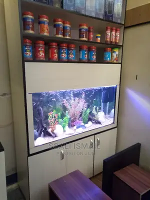 Cream Colour Aquarium With Exellent Interiors