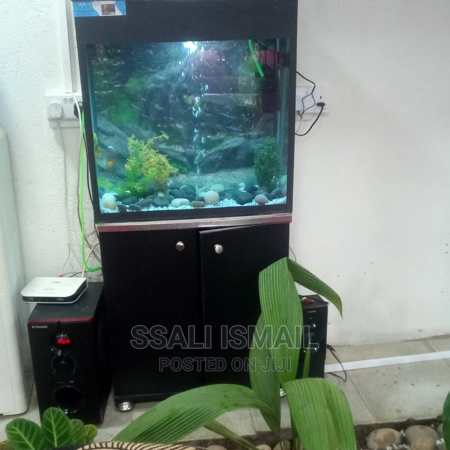 Cheap and Simple Aquarium