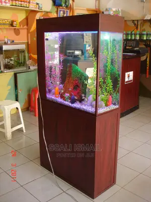 Simple and Well Decorated Aquarium