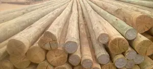 Treated Poles