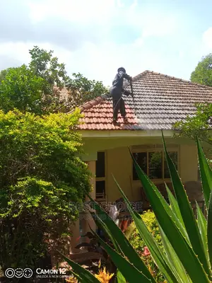 Roof Cleaning Services