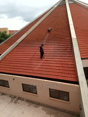 Roof Cleaning Services