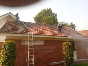 Roof Cleaning Services