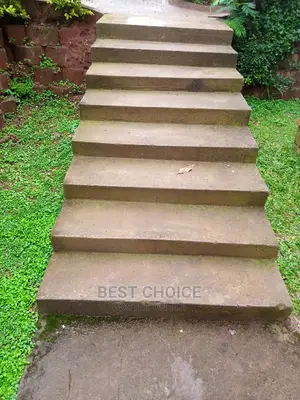 Paver Cleaning