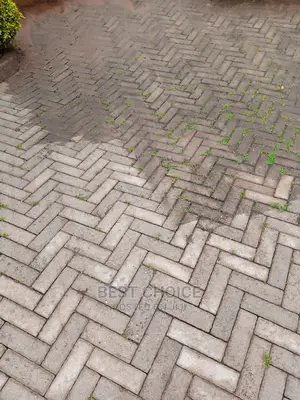 Paver Cleaning