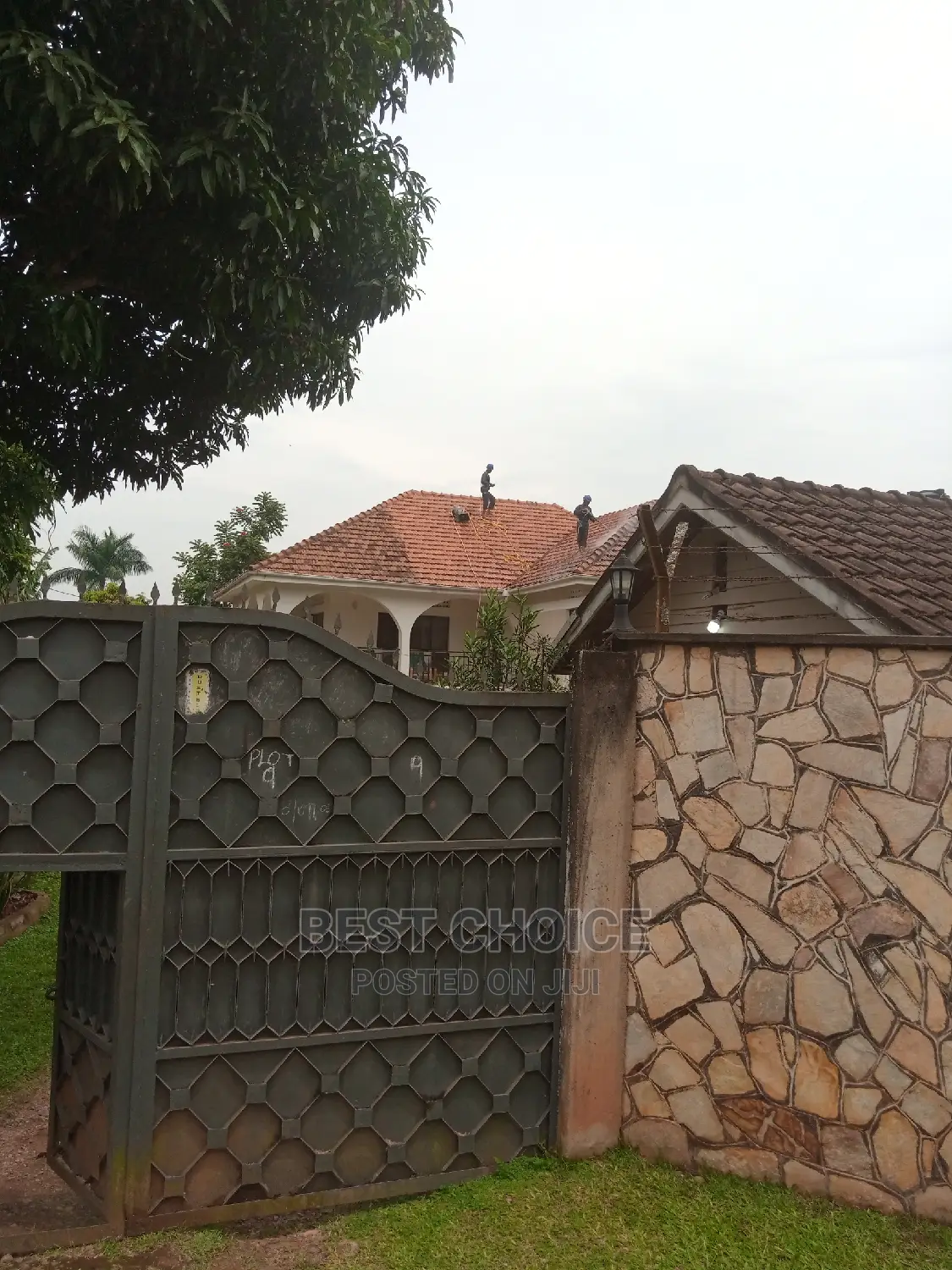 Roof Tile Cleaning