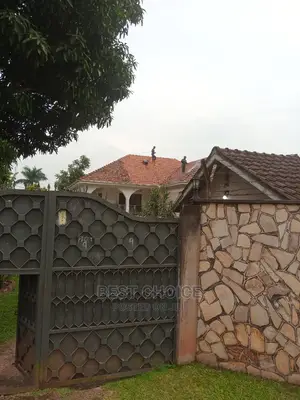 Roof Tile Cleaning