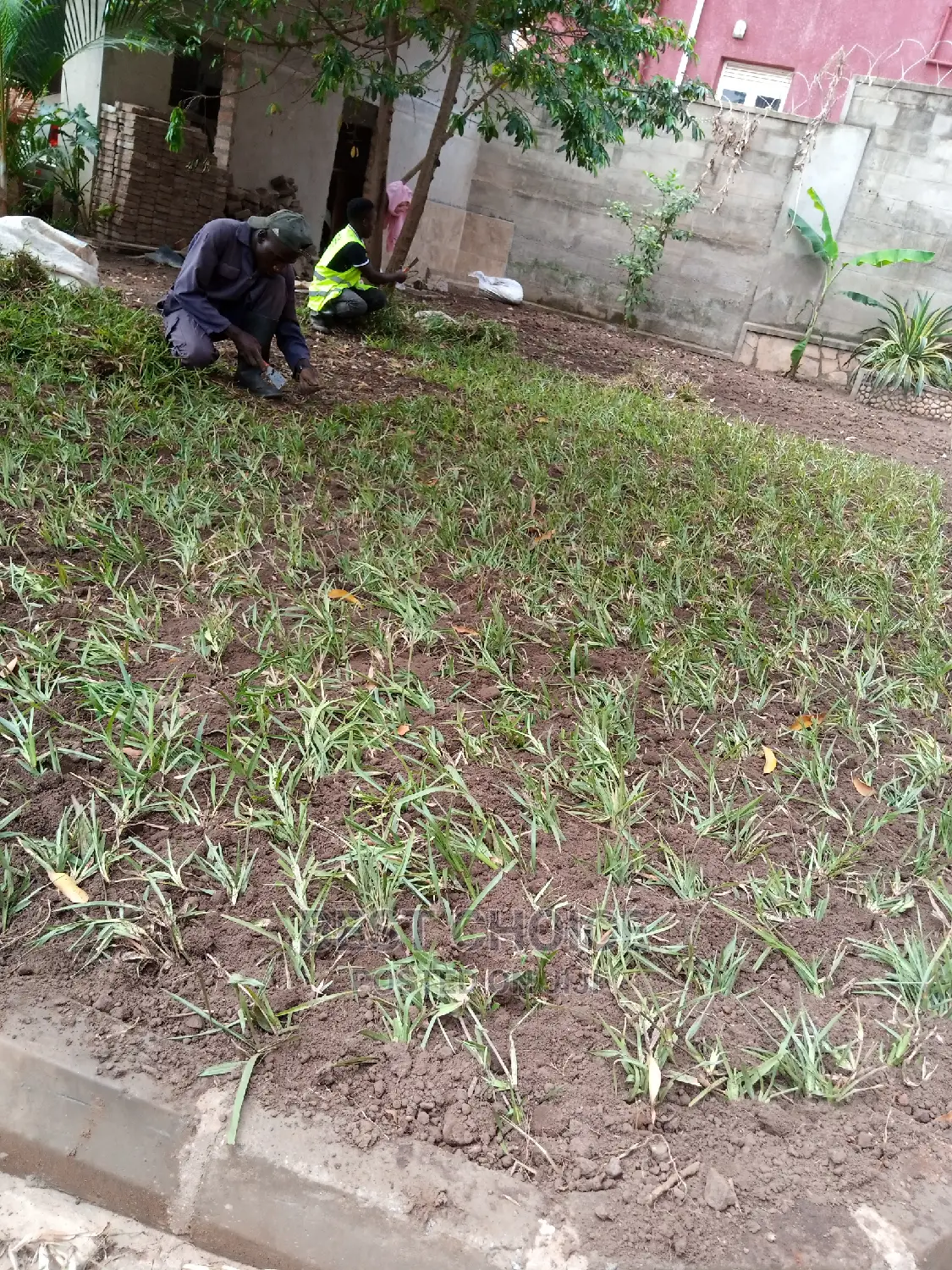 Compound Designing
