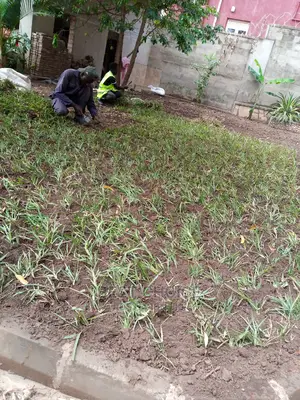 Compound Designing
