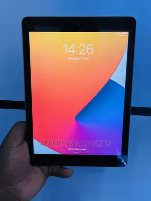 Apple iPad Air 2 128 GB Gray