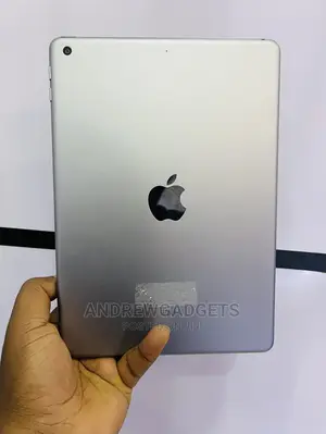 Apple iPad Air 2 128 GB Gray