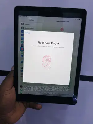 Apple iPad Air 2 128 GB Gray