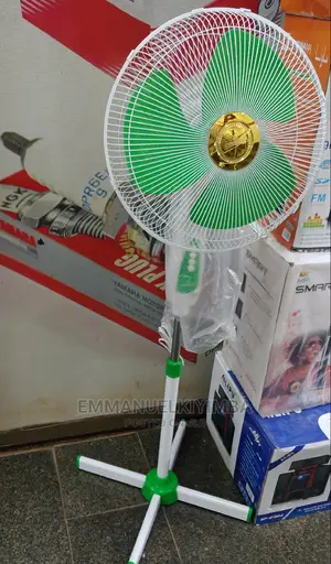 Evernal Stand Fan