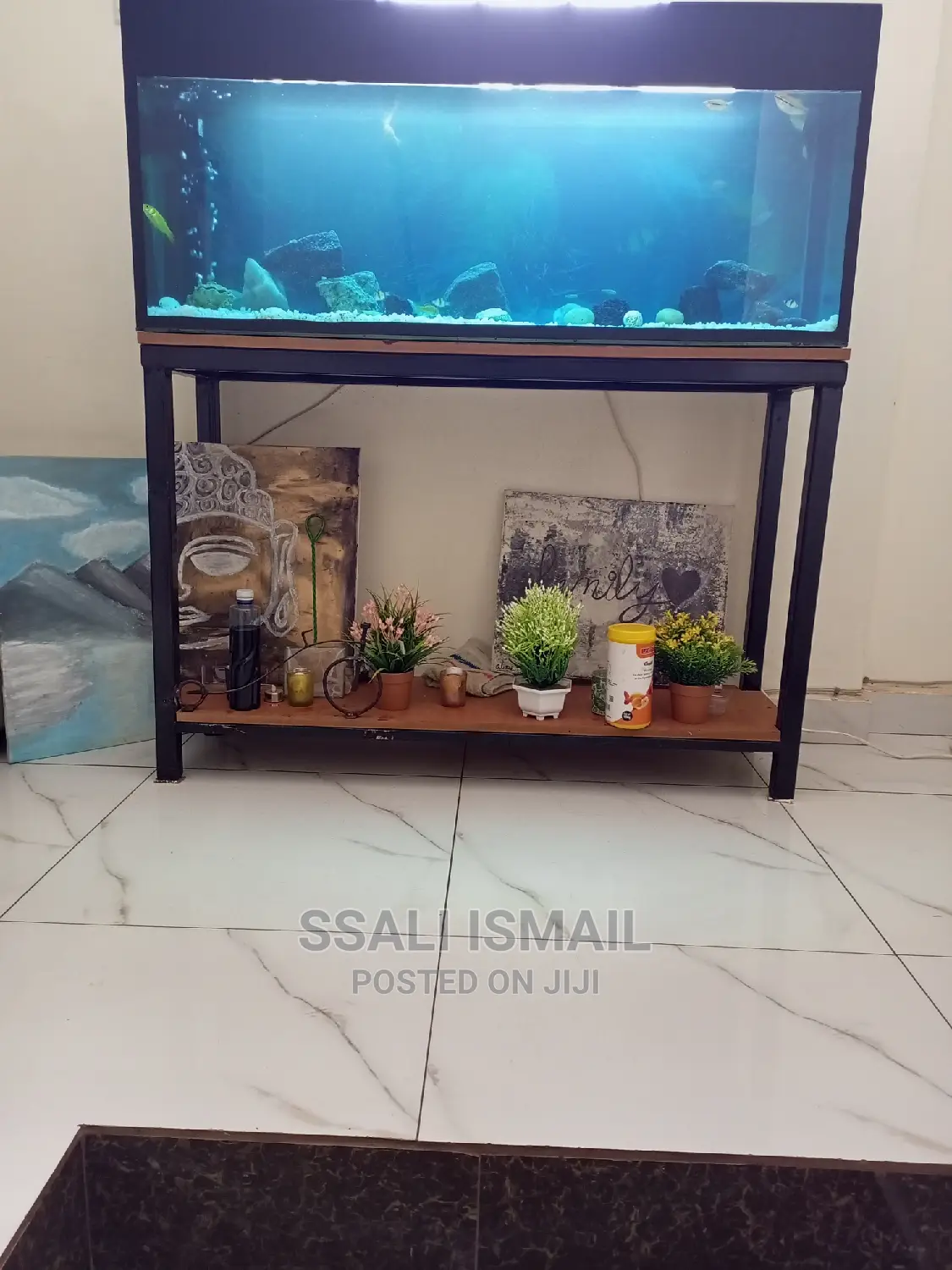 Afancy Aquarium With Attractive Decoration and Fish