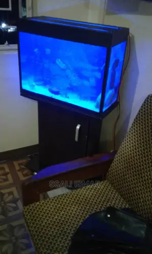 Adurable Aquarium and Fairy Priced
