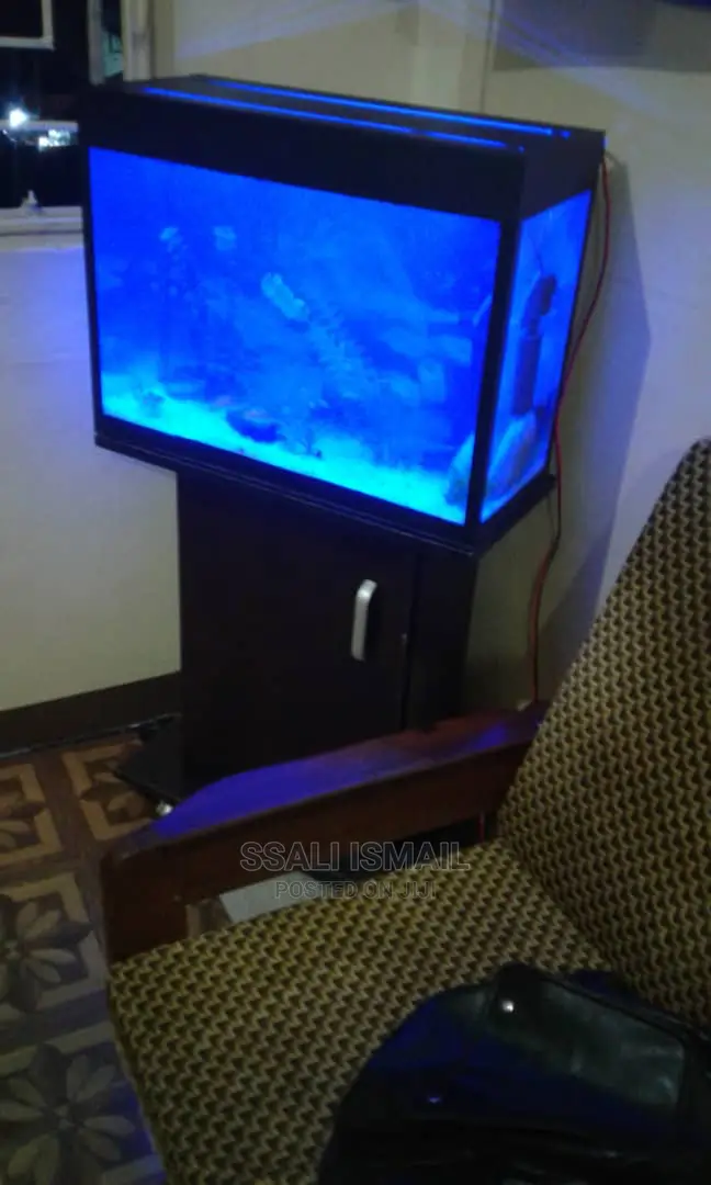 Adurable Aquarium and Fairy Priced