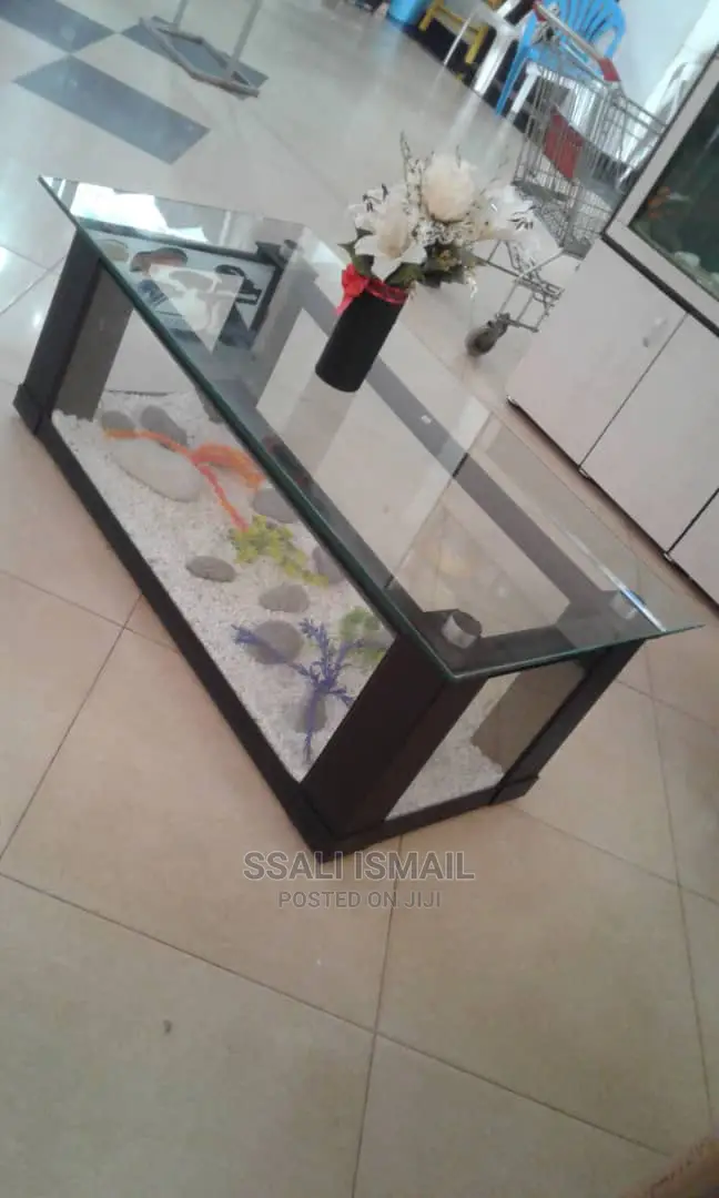 Cheap Coffee Table Aquarium