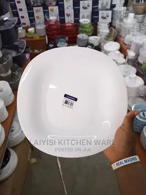 Adozen of Original Luminac Dinner Plate