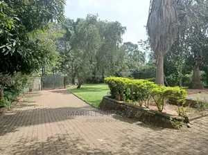 4bdrm Bungalow in Muyenga, Kampala for Rent