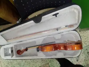 Violin Instrument